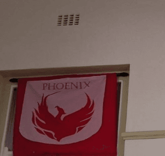 Phoenix house banner